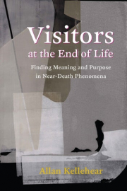 Cover of Visitors at the End of Life