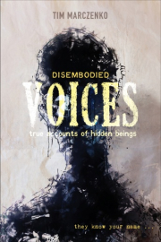 Cover of Disembodied Voices: True Accounts of Hidden Beings