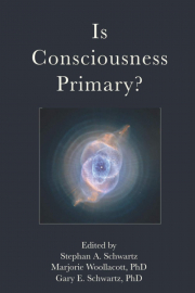 Cover of Is Consciousness Primary?