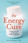 Cover of The Energy Cure: Unraveling The Mystery Of Hands-On Healing