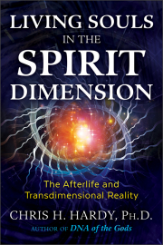 Cover of Living Souls in the Spirit Dimension