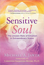 Cover of Sensitive Soul