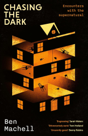 Cover of Chasing the Dark