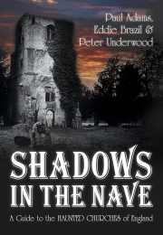 Cover of Shadows in the Nave