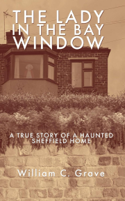 Cover of The Lady in the Bay Window