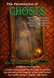 Cover of The Persistence of Ghosts
