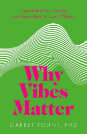 Cover of Why Vibes Matter
