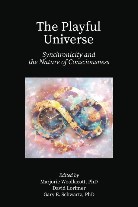 Cover of The Playful Universe
