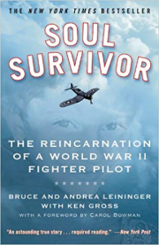 Cover of Soul Survivor: The Reincarnation of a World War II Fighter Pilot